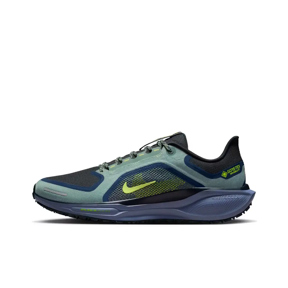 Nike Air Zoom Pegasus 41 GORE-TEX 'Cannon Obsidian' FQ1356-006