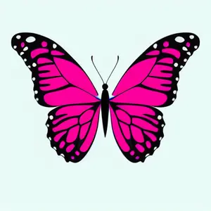 background preload poster image 