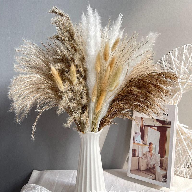 100 Pieces Of Bohemian Reed Grass, Naturally Dried Reed Grass, Wedding Decoration, Home Decoration, Bohemian Party Decoration, Table Decoration, Brown And White Color