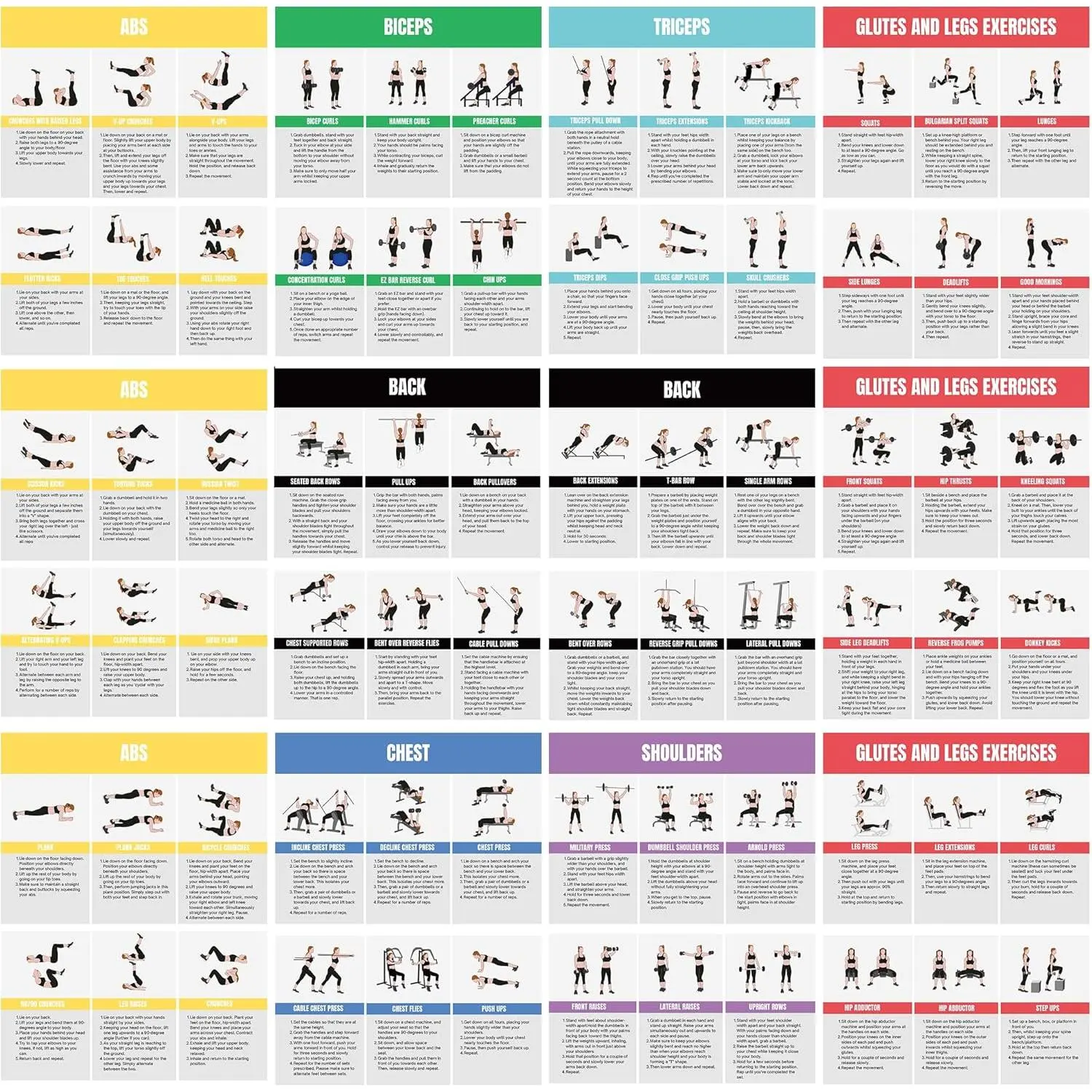 Full  Workout Poster for  Gym – Exercise Chart for Glutes, ,  & Abs – Strength  Guide with Squats, Lunges, Deadlifts, Core Exercises – Bodyweight & Dumbbell  Guide