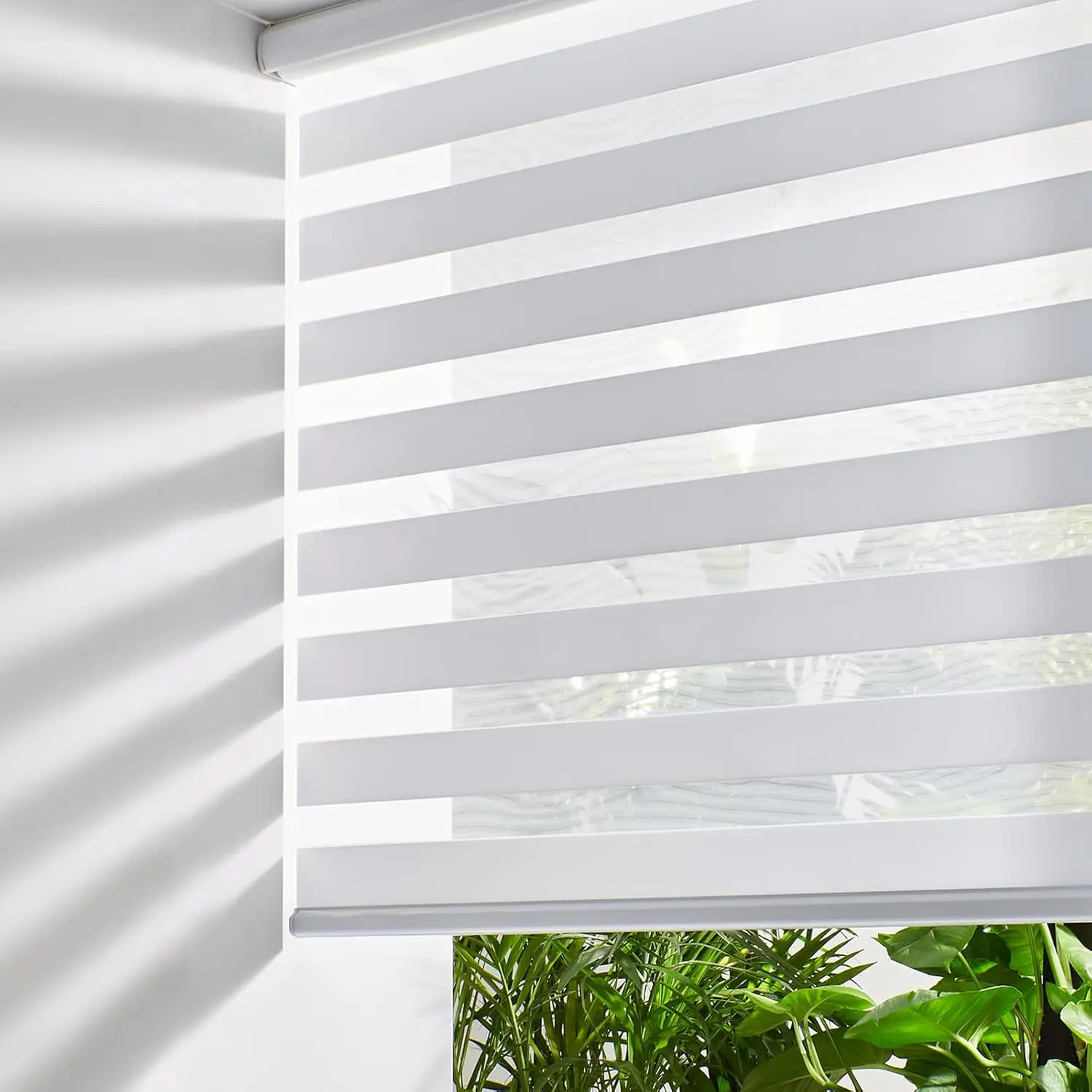 Blinds for Windows Free-Stop Roller Windows Shades (24" W X 72" H, White) Dual Layer Light for Day and Night, Light Filtering Sheer Shades for Home, Easy to Install