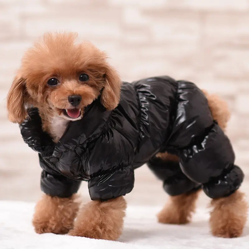 Pet clothing, dog clothes, winter dog apparel, autumn and winter dog clothing, warm pet clothing
