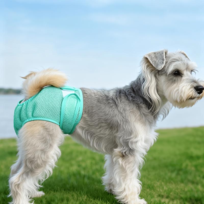 New Pet Female Dog Period Pants in 5 Colors, Comfortable, Leak-proof, and Breathable. Anti-harassment Modesty Pants, Reusable Dog Menstrual Pants, Dog Diapers. Suitable for Small, Medium, and Large Dogs. for All Seasons