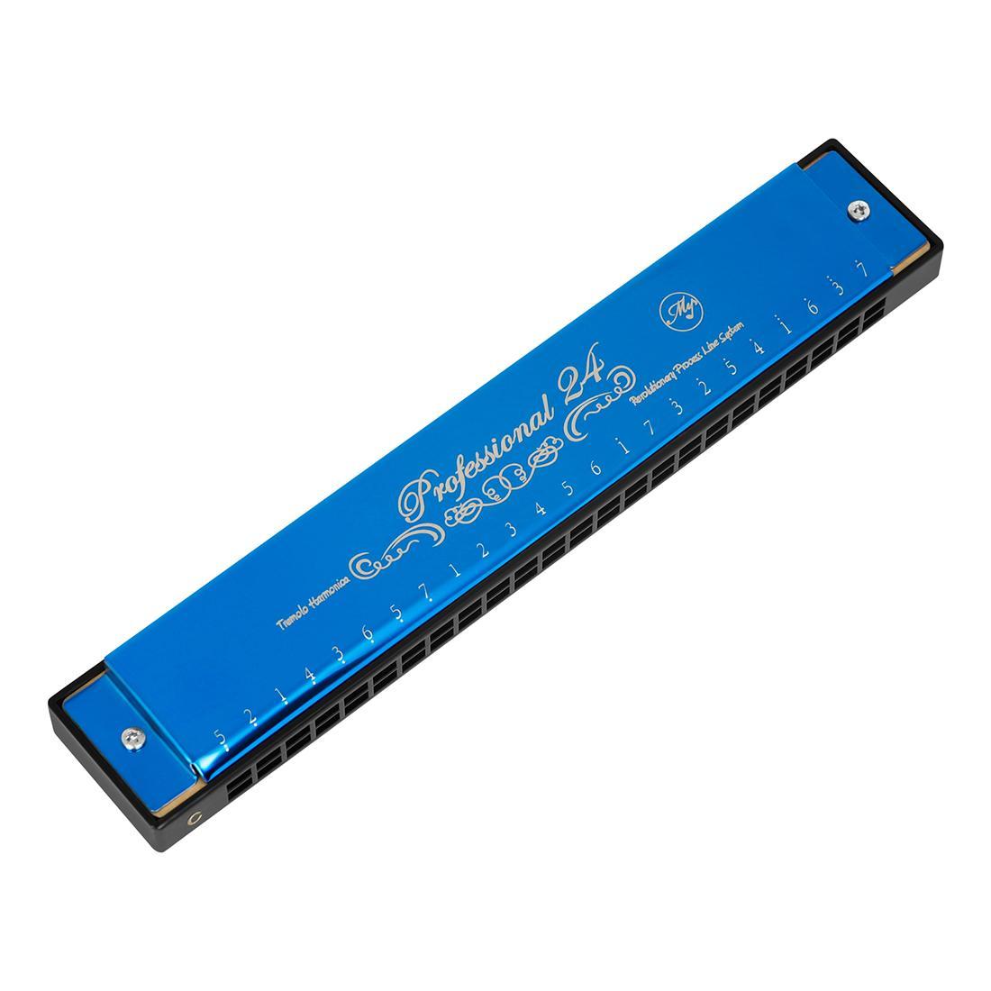 24-hole C Harmonica, 1 Count Professional Mouth Organ with Case, Musical Instrument for Beginners & Professional Players