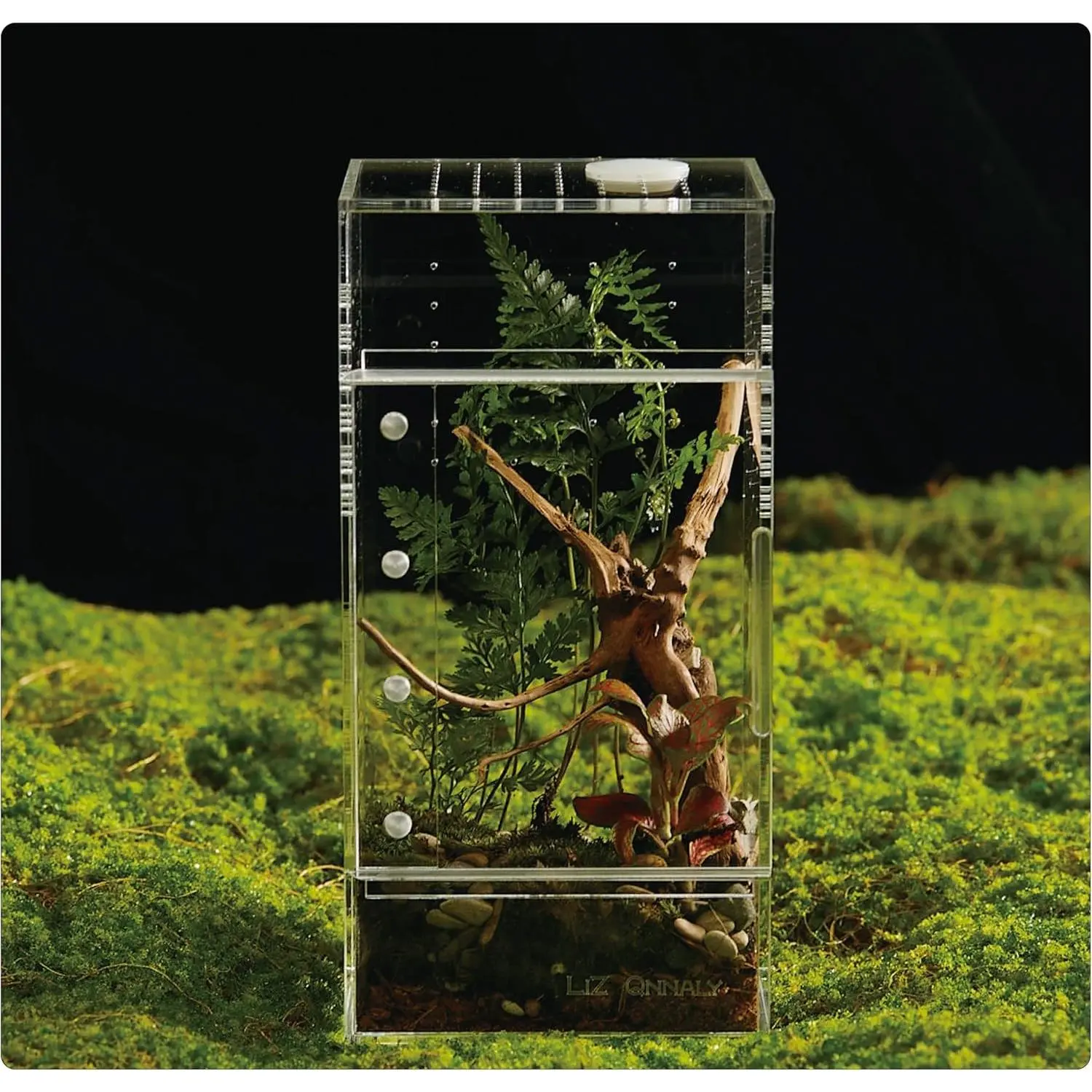 Acrylic Terrarium for Reptiles & Spiders, Leak-Proof Enclosure with Various Sizes, Ideal for Tarantulas, Frogs & Geckos
