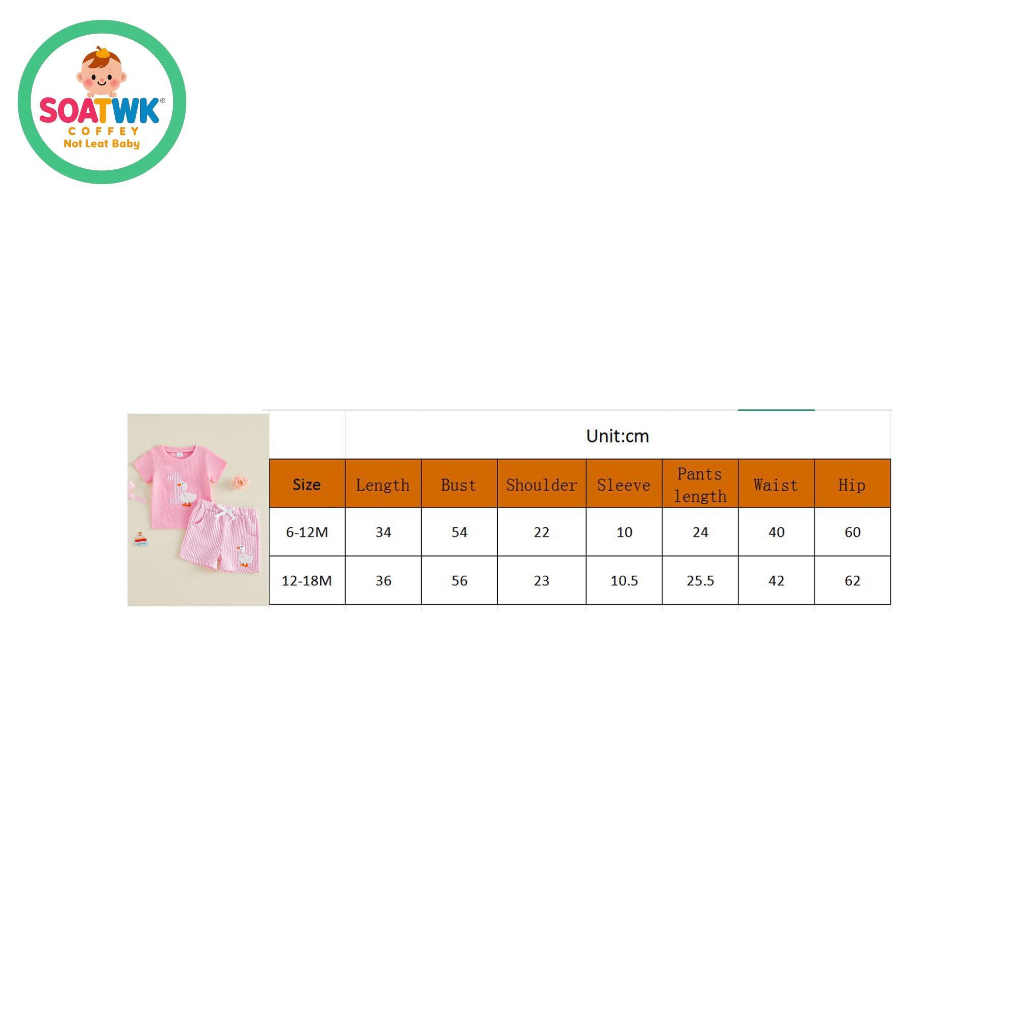 Baby Girls Birthday Outfit, Short Sleeve Embroidery Duck T-shirt with Striped Shorts Summer 2-piece Outfit