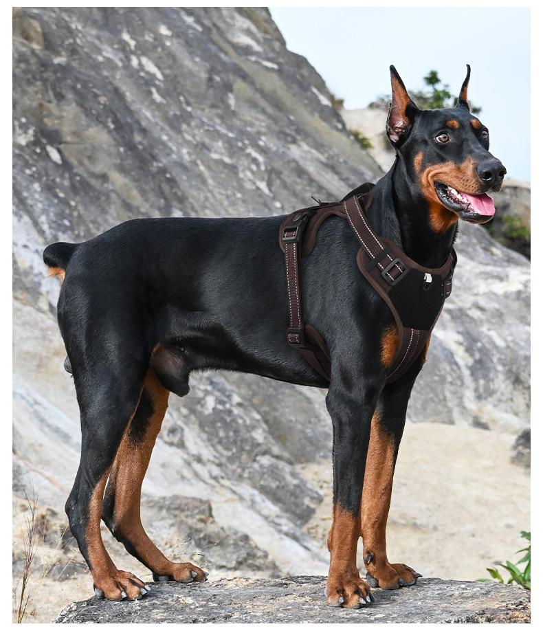 Tactical Dog Harness, No Pull Dog Harness with Leash, Lightweight Adjustable Dog Vest Harness for Small Medium Large Dogs, Reflective Escape Proof Dog Harness with Handle, Breathable Dog Harness for Training, Walking, Hiking, Outdoor, Protect Dog's Sternu