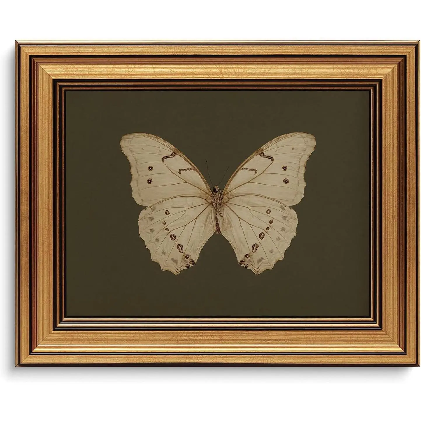 Gold Framed Wall Art Vintage Butterfly Canvas Wall Art White Butterfly Moody Insect Artwork Prints Picture for Living Room Bedroom Farmhouse Bathroom Office Decor, 8x10