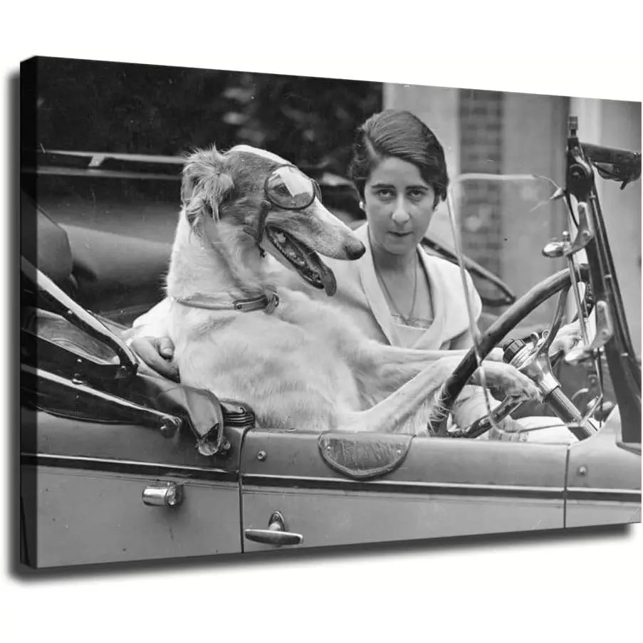 Art Black And White Driving Car Driver Woman And Dog Poster wall art canvas wall decoration suitable for wall decoration in bedrooms kitchens and living rooms