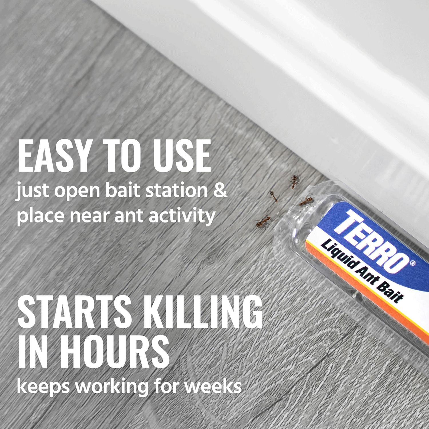 Terro Ant Killer Bait Station T300b, Effective Indoor Ant Control, Liquid Bait Eliminator, Quick-Acting Ant Trap Solution, 6 Count Stations