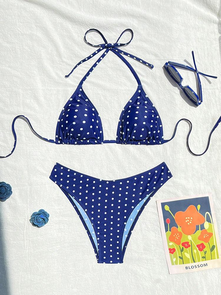 2026 new polka dot bikini sexy split swimsuit women's beach hot spring swimsuit