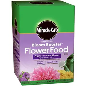 Miracle-Gro 1-Pound 1360011 Water Soluble Bloom Booster Flower Food, 10-52-10, 1 Pack