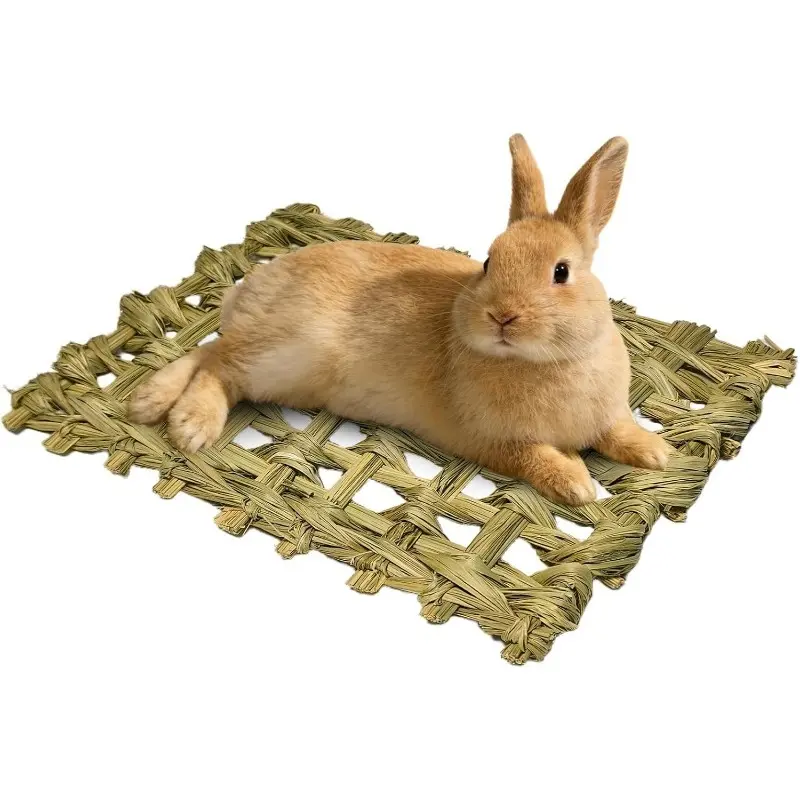 Rabbit Grass Mats, Hay Woven Bed Mat Rabbit Hay Mat Bunny Bedding for Sleeping Chewing Nesting Small Animal Bedding for Bunny Guinea Pig Chinchilla Bird, Bunny Supplies