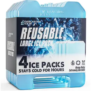 Everlasting Ice RX Large Reusable Ice Packs for Cooler with Handle (4 Pack) Long Lasting Coolness, BPA Free, Freezer Packs for Extended Cooling| Cooler Ice Packs for Camping, Fishing, Hiking, Beach