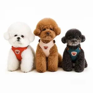 Soft Breathable Dog Harness with Leash, Step-In Vest Chest Harness for Small Breeds Like Teddy