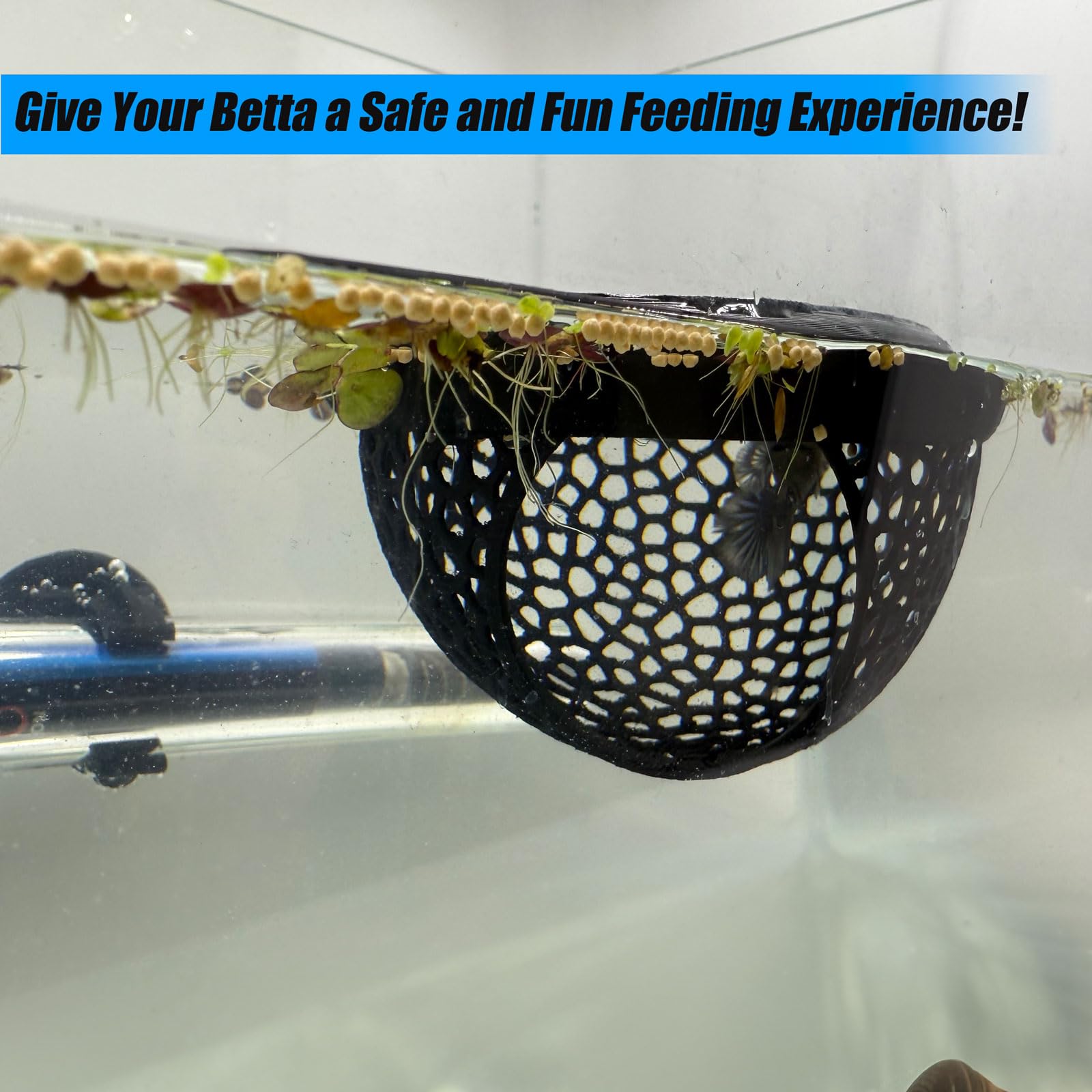 Aquarium Fish Tank Floating Betta Fish Skin Feeder Feeding, Cave & Hammock Combo, Small Fish Food Ring, Hideaway Decor Accessory