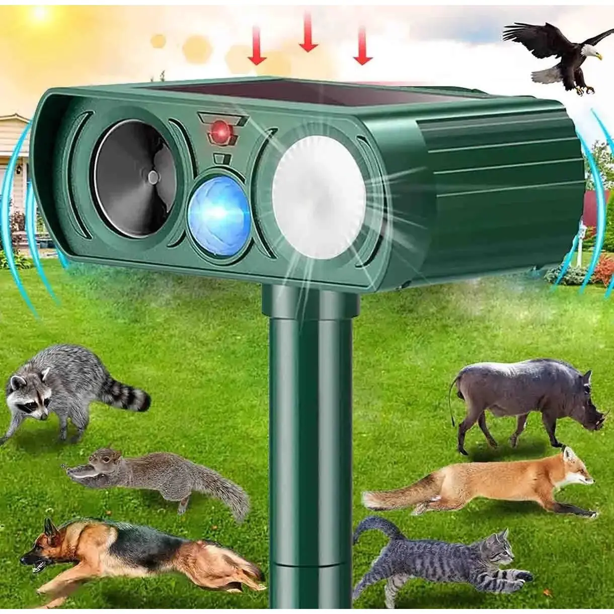 Model 2026 Solar Ultrasonic + Function Animal Repeller, for outdoor use, equipped with flashing lights and motion sensor, can be used to repel animals such as deer, cats, squirrels, raccoons, rabbits, foxes, and skunks.