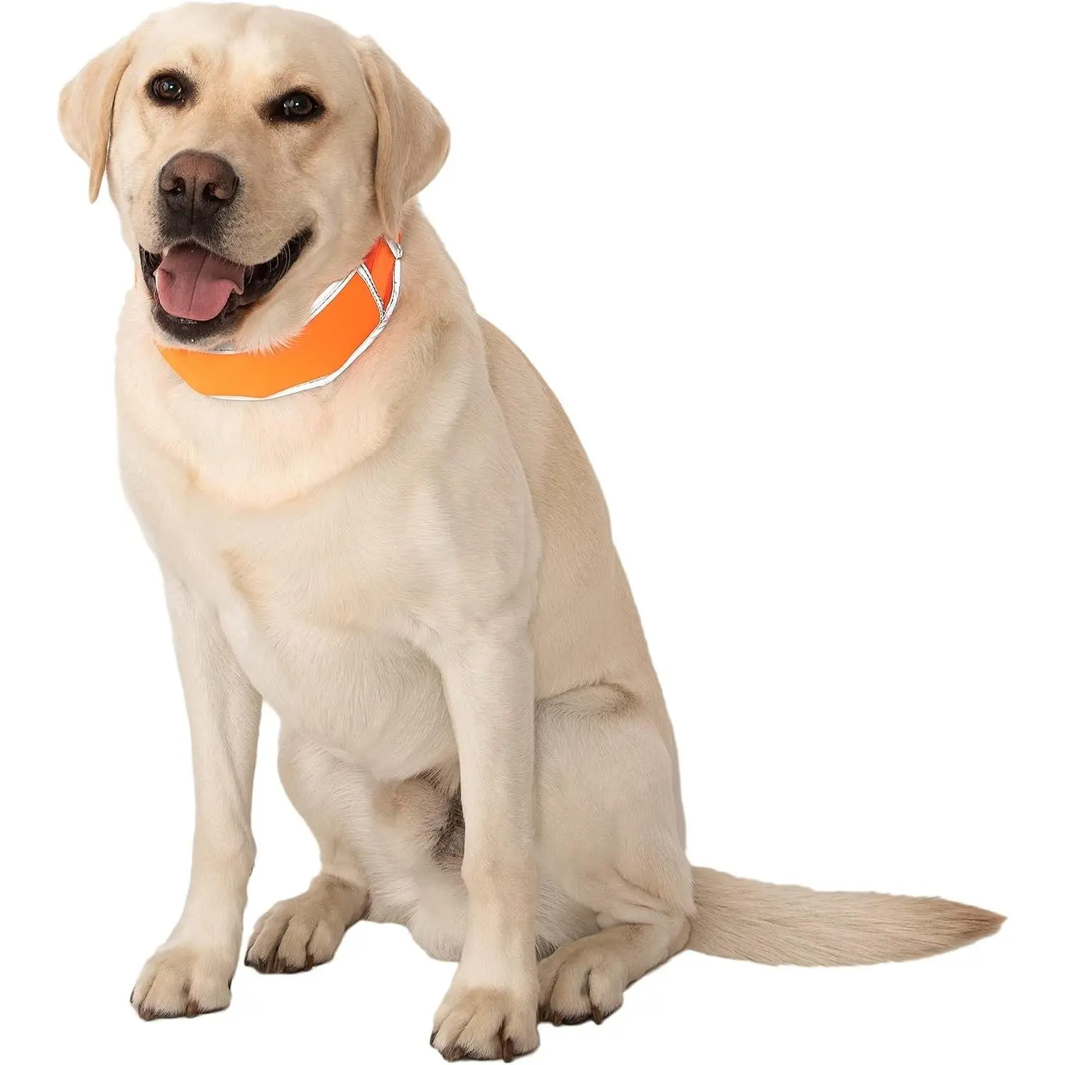 Hi-Vis Cooling Dog Collar for Large Dogs – Reflective Re-Freezable Ice Collar for Hot Weather & Heat Relief (Orange, Large)
