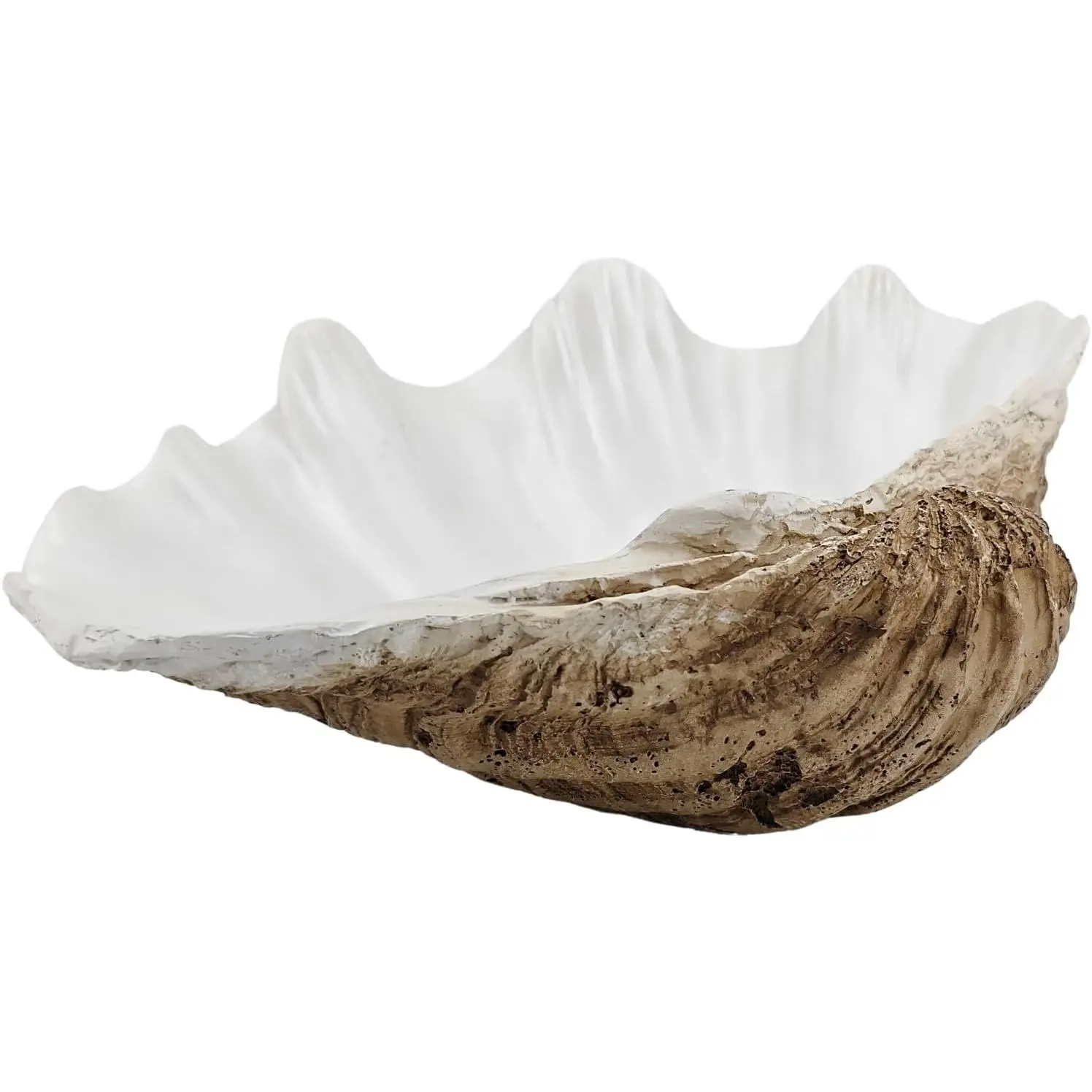 Medium Pearl White Weathering Scalloped Clam Shell Bowl Sea Shell Decor for Nautical Beach House Coastal Decor Gift for Housewarming and Wedding Party