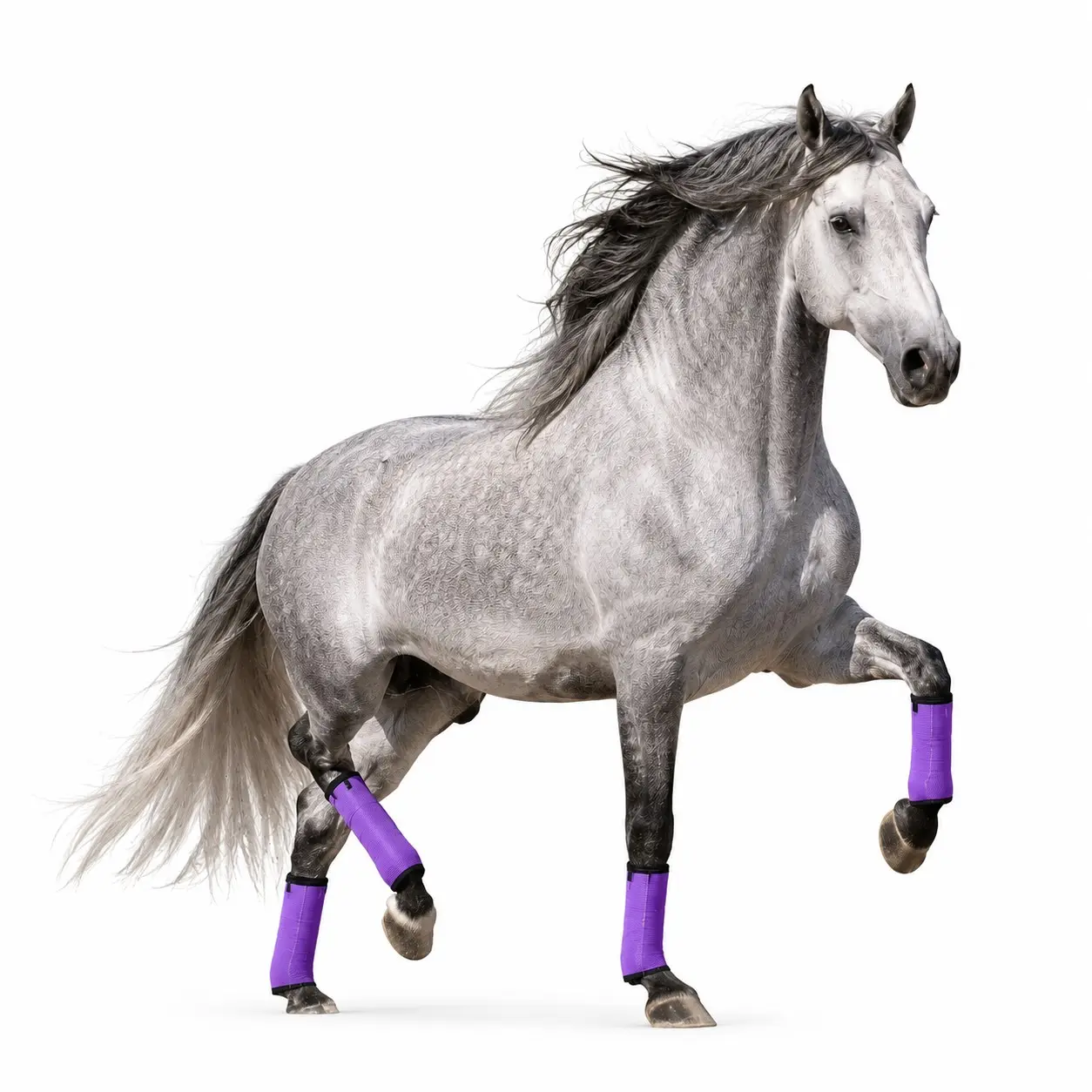 Horse Leg Protector (4 Counts), Breathable Outdoor Equestrian Horse Leg Protector, Professional Anti-mosquito & Anti-insect Horse Leg Protector