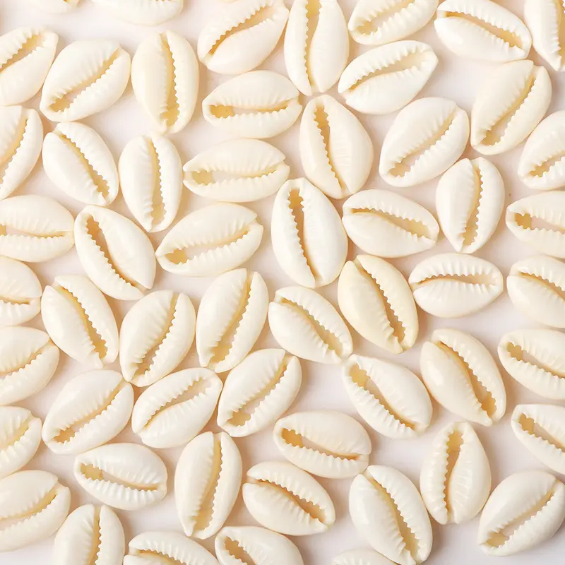 52pcs Shell Beads Suitable for DIY Jewelry Making - Handmade Nautical Craft Beads with Shell Shells for Necklace Bracelet Charms, Bracelet & Necklace DIY Supplies, Shell Bead Material for Crafting Gifts