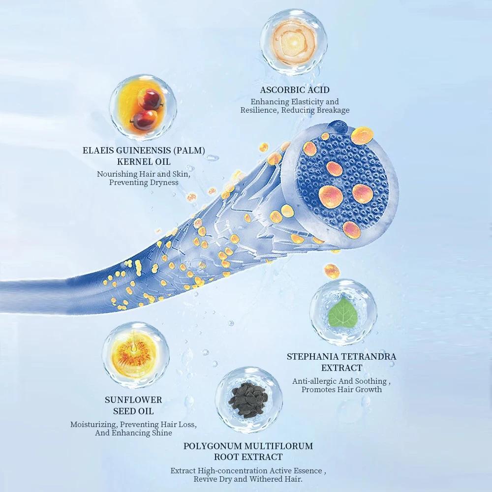 2 In 1 Eyelash & Eyebrow Dye Kit, 1 Set Long Lasting Eyelash & Eyebrow Dye Kit, Eyebrow Tinting Cream, Eyebrow Dye Paste, Professional Makeup Kit For Women