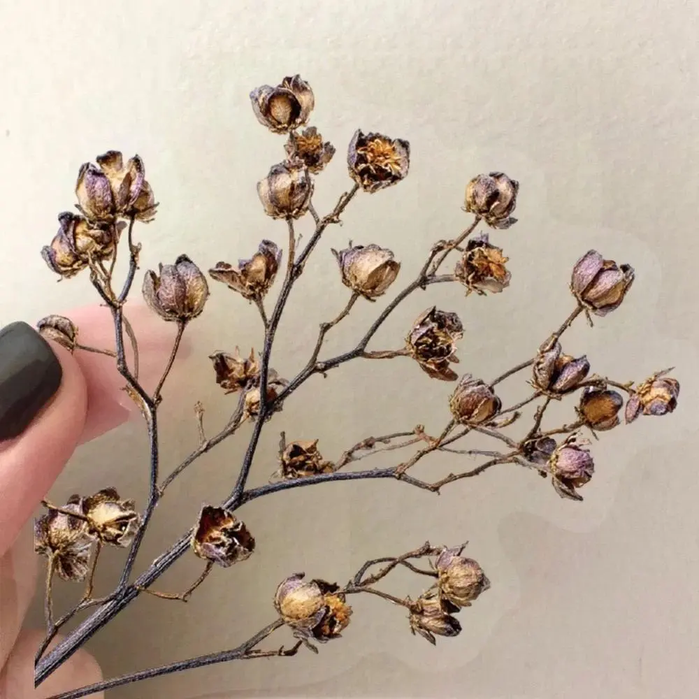 50pcs Retro Dried Flower Starry Sky Stickers Transparent PET Waterproof DIY Mobile Phone Luggage Decoration Stickers