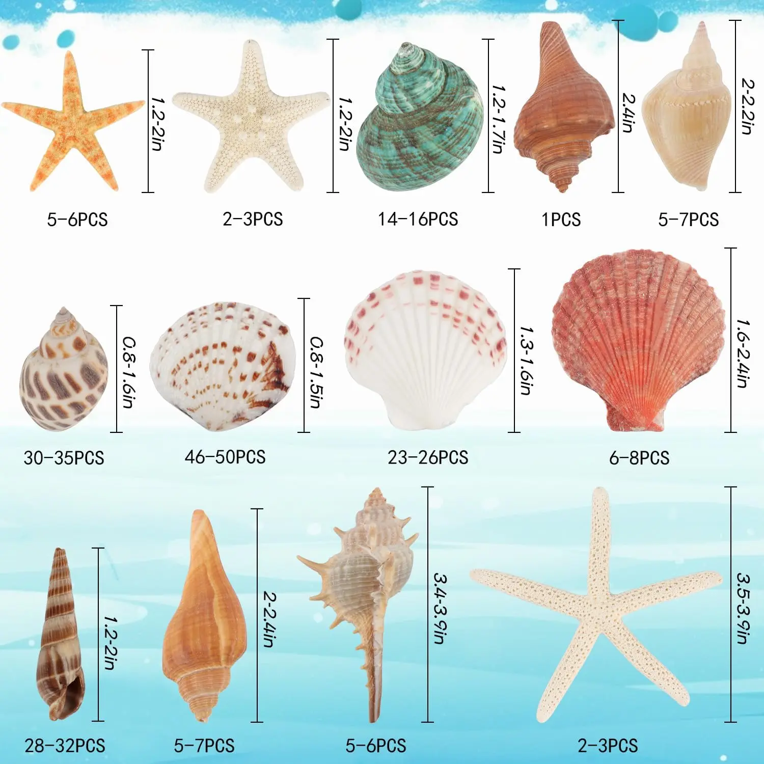 Mixed Beach Seashells, 1.5 Lb, 130+ Pieces, Natural Shells & Starfish, Assorted Sizes, for Fish Tanks, Vases, Beach Weddings, DIY Crafts, Home Decor