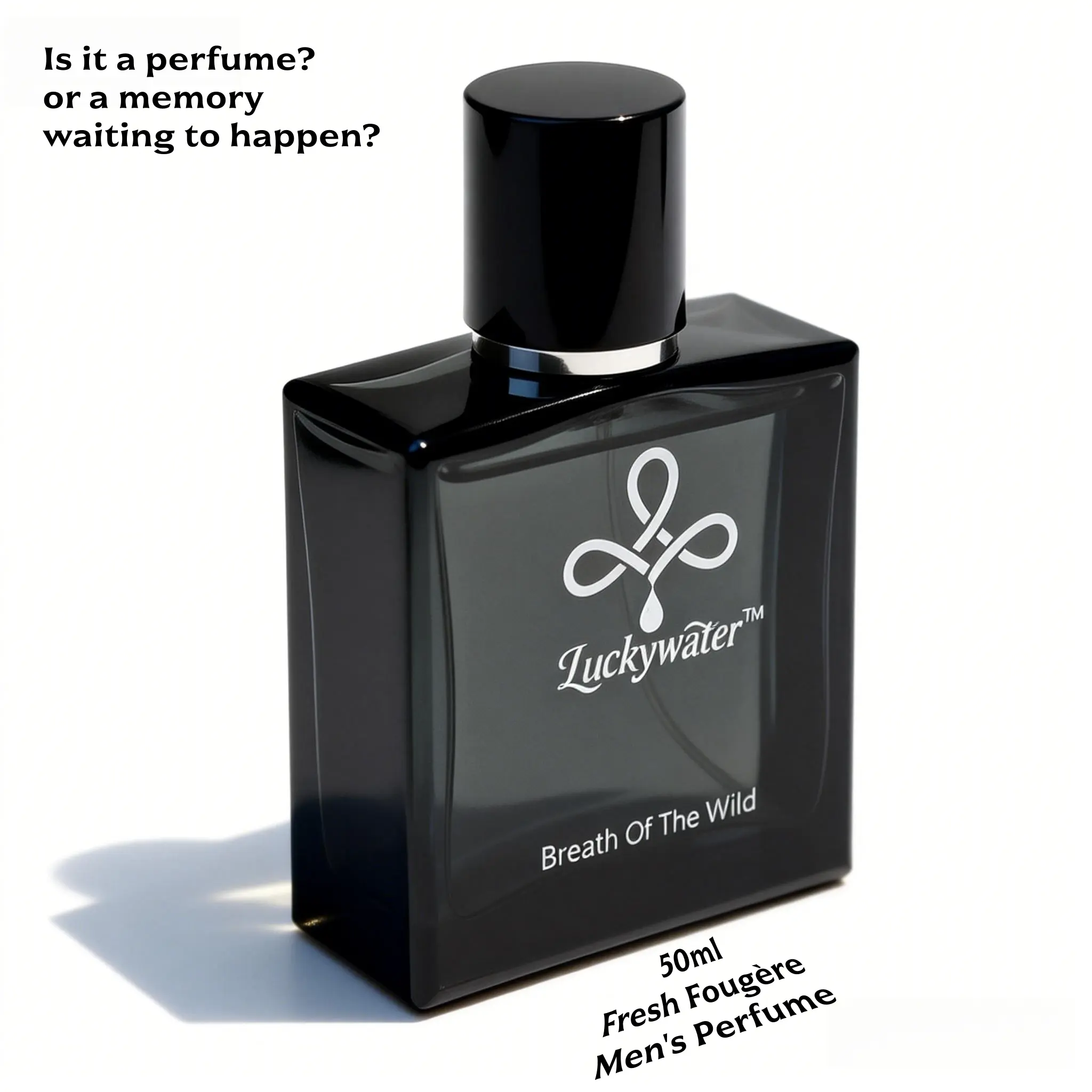 Men's aromatic fougere eau de parfum, clean and fresh. Ideal for travel, casual dates, post-workout, or office daily. Valentine's gift for boyfriend. mens cologne, perfume original hombre, regalos para hombre, cologne for men, gifts for men.