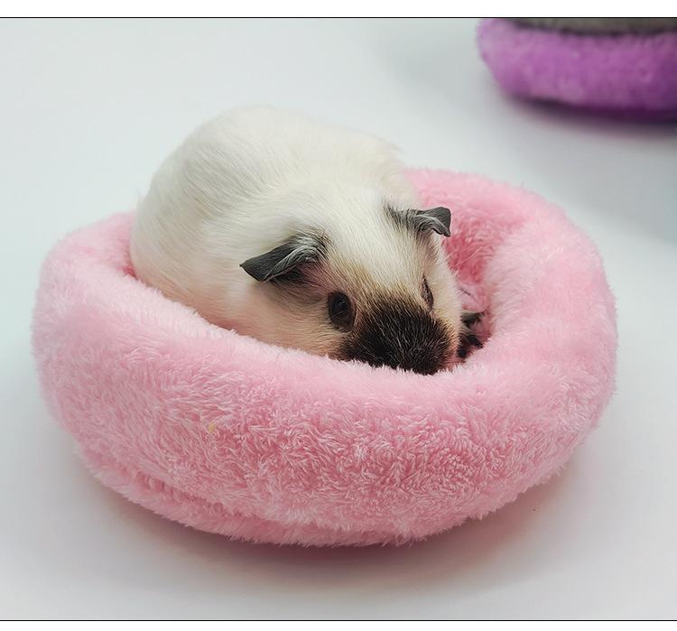 Macaron-style sleeping nest pad, suitable for hamsters, sugar gliders, squirrels, guinea pigs, dwarf rabbits, hedgehogs, etc.Made of comfortable material, available in sizes 7.87 inches and 5.51 inches.