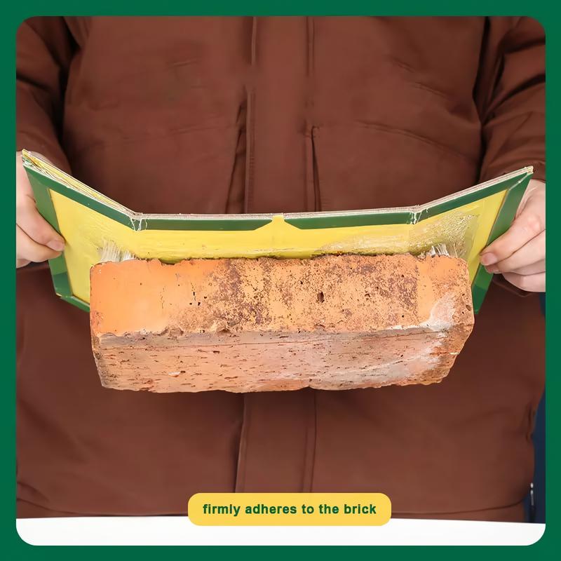 Large Pest Control Traps, Strong Adhesive Mouse Boards, Indoor Outdoor Kitchen Garden Use, Safe Non-Toxic, No Power Needed, No Bait Included