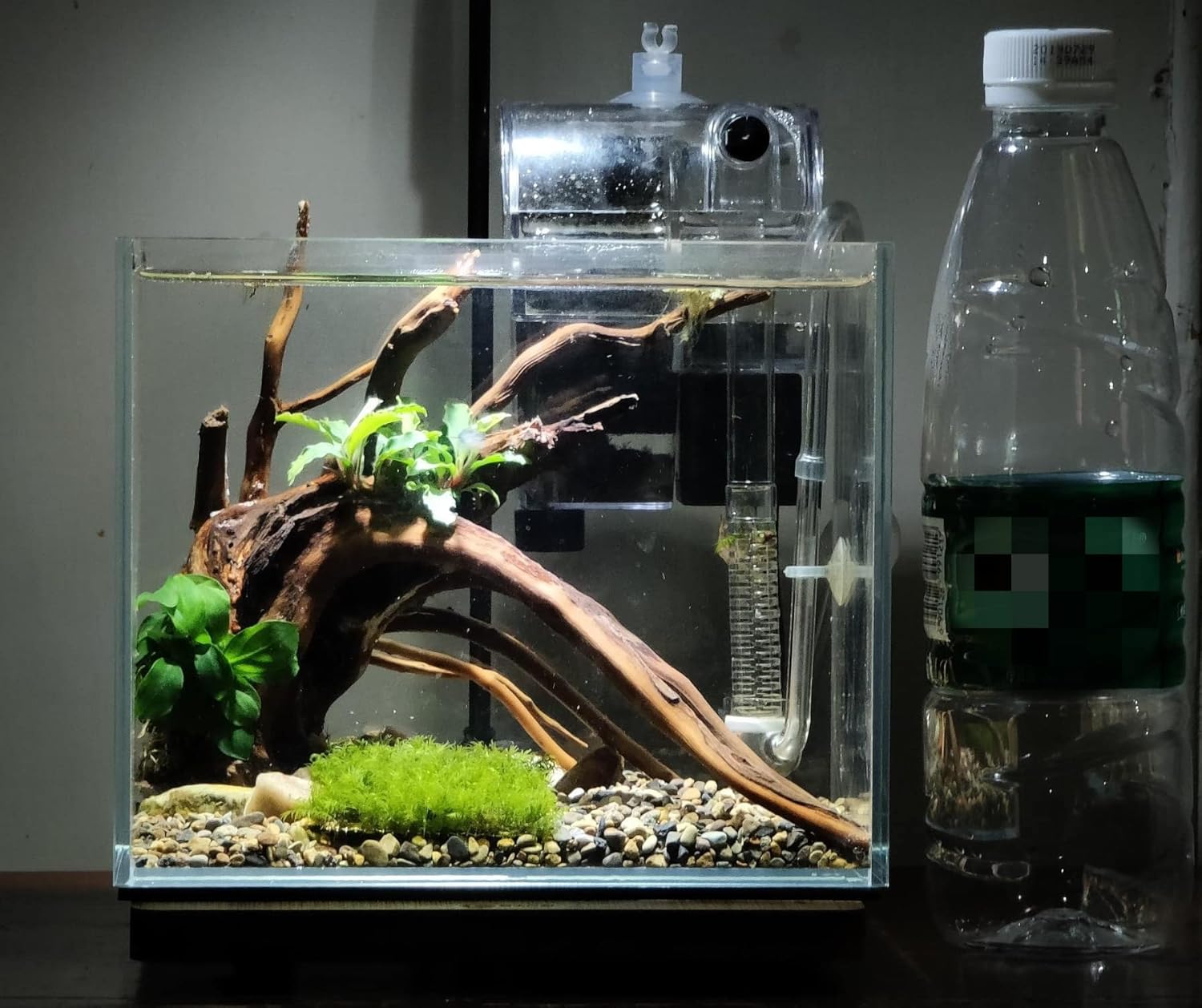 Small Nano Rimless Clear Glass Fish Tank 11 Gallon 7.8x5.5x5.9 Inch Betta Tank for Small Fish