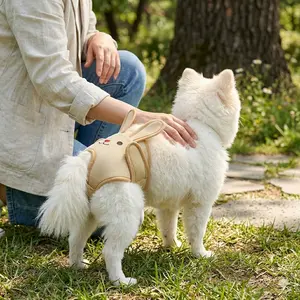 Doggy Underwear Cartoon Washable Diapers, Polite Anti-Harassment Pull-On Pet Underwear, Comfortable and Practical Dog Clothing