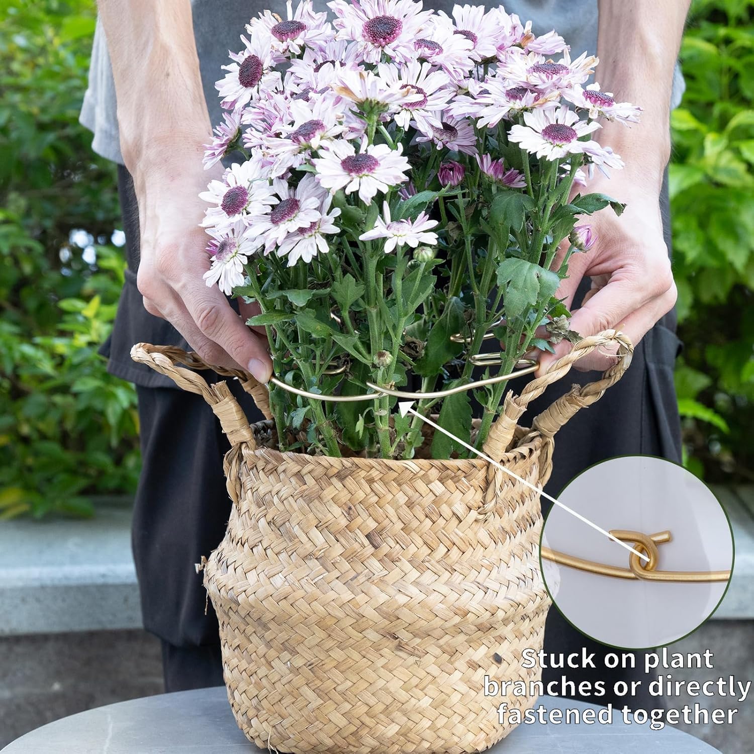 Monstera Stem Support - 5- Durable Support System for Monstera & Turtle Shell - -Quality Leaf Clamps -Easy-to-Use Indoor Garden Stabilizers for Growth Monstera Stem Support - 5- Durable Support System for Monstera & Turtle Shell - -Quality Leaf Clamps -Easy-to-Use Indoor Garden Stabilizers for Growth