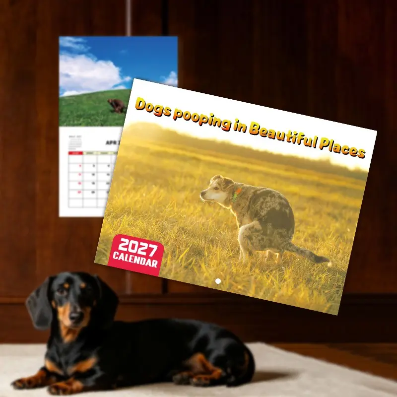 1-Piece 2027 Funny Dogs Pooping Calendar Humorous Gag Style 12 Months + Dogs in Beautiful Scenes Pooping Illustrations + Date Marking for Dog Lovers / Gag Gifts / Office Fun Decor