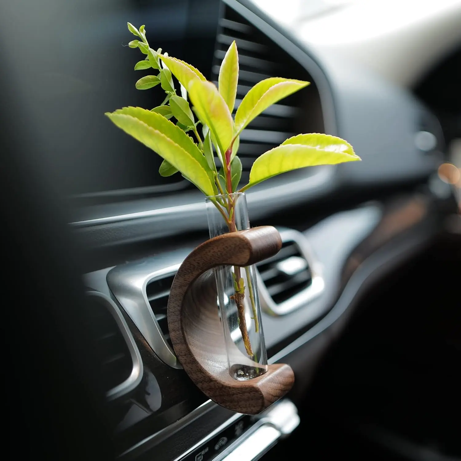 Car Dashboard Decorations - Propagation Vase Vent Clip for Fresh/Dried Flowers, Plant Cuttings, Car Interior Aesthetics Decor Accessories - Gift for Plant Lovers, Women & Moms
