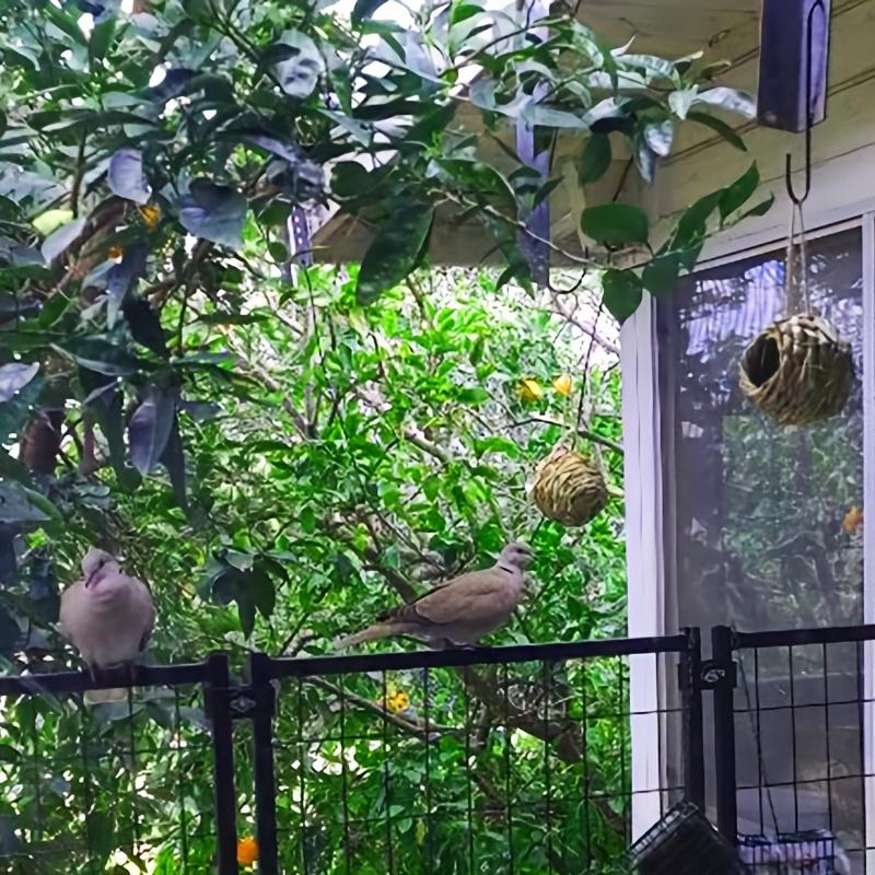 2pcs Handwoven Hummingbird Nest House- Outdoor Gardens And Patios, Spherical Design, Comfortable Nesting