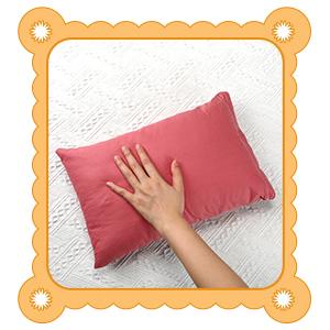 12 Pack Mini Pillows for Daycare 9.1 x 13.8'' Small Travel Pillow Bulk Soft Breathable Cotton Pillow for Nap Travel Pet Neck Lumbar Purse Insert (Dark Color) 12 Pack Mini Pillows for Daycare 9.1 x 13.8'' Small Travel Pillow Bulk Soft Breathable Cotton Pillow for Nap Travel Pet Neck Lumbar Purse Insert (Dark Color)