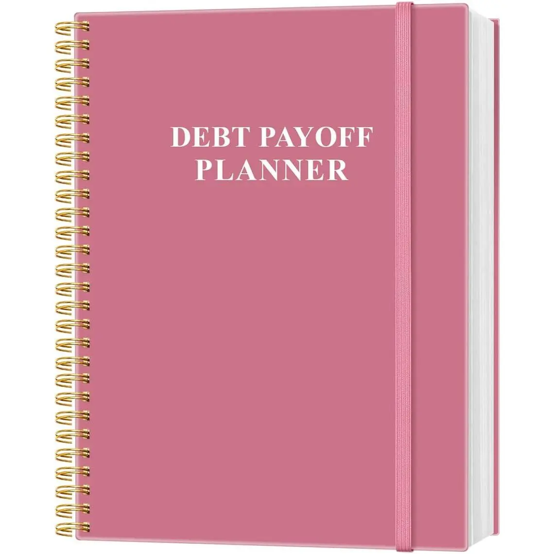 Debt Payoff Planner - 8.5"x11" Financial  Notebook, Manage Debt, Track Payments & Credit, Budget & Goal Planner for Students, Professionals & Families,