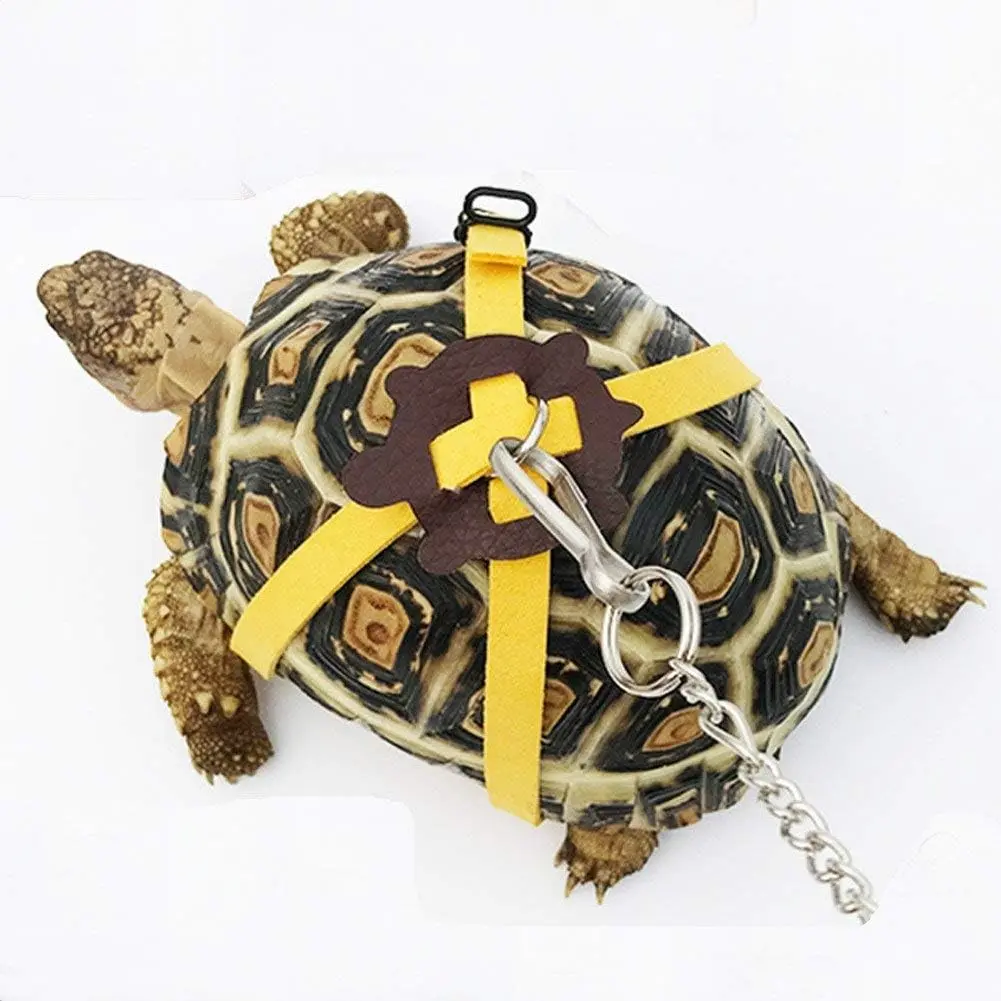 Stainless Steel Leather Harness Strap, Reptile Harness for Tortoise/turtle, Adjustable Control Rope, Walking Rope for Small Medium Large Turtle Pets, Outdoor Use
