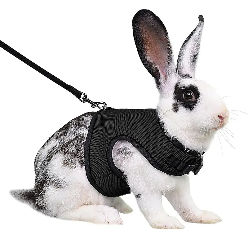 Bunny Harness and Elastic Leash Set, Adjustable Soft Stretch Vest-Style Pet Harness, Escape Proof Walking Vest for Rabbits, Kittens, Guinea Pigs & Other Small Animals Pet Supplies