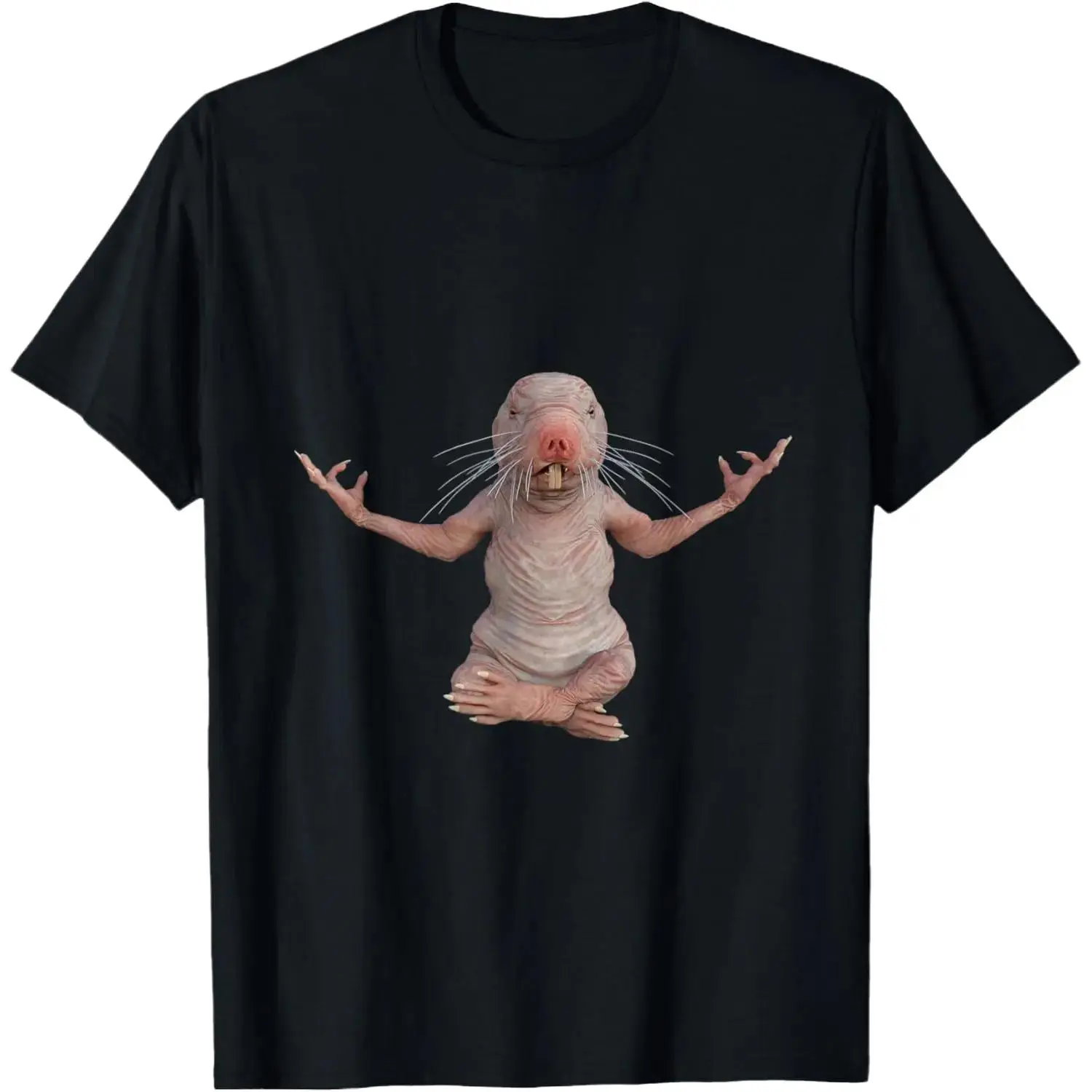 Unisex Crew Neck Short‑Sleeve T‑Shirt, Opossum‑Animal‑Retro‑Card‑Abstract‑Theme Graphic Casual Streetwear Tee