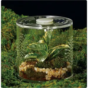 Acrylic Terrarium for Reptiles & Spiders – Small/Medium/Large Leak-Proof Enclosure (Horizontal/Vertical) | Ideal for Tarantulas, Jumping Spiders, Frogs & Geckos(Small, Round)