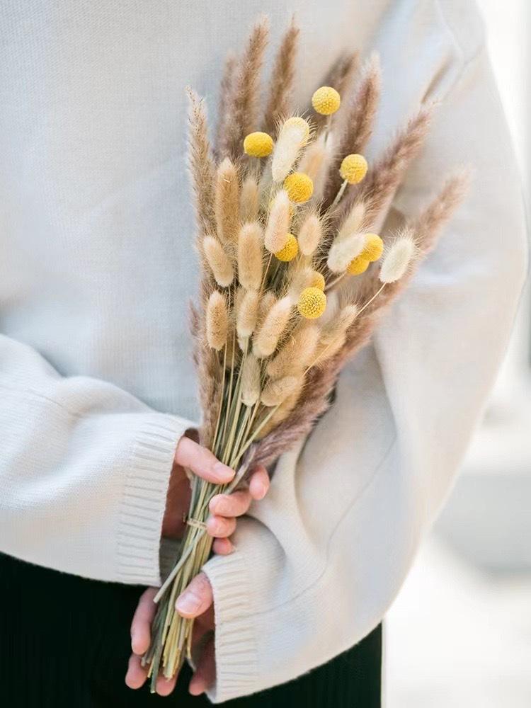 100 Pieces Of Bohemian Reed Grass, Naturally Dried Reed Grass, Wedding Decoration, Home Decoration, Bohemian Party Decoration, Table Decoration, Brown And White Color
