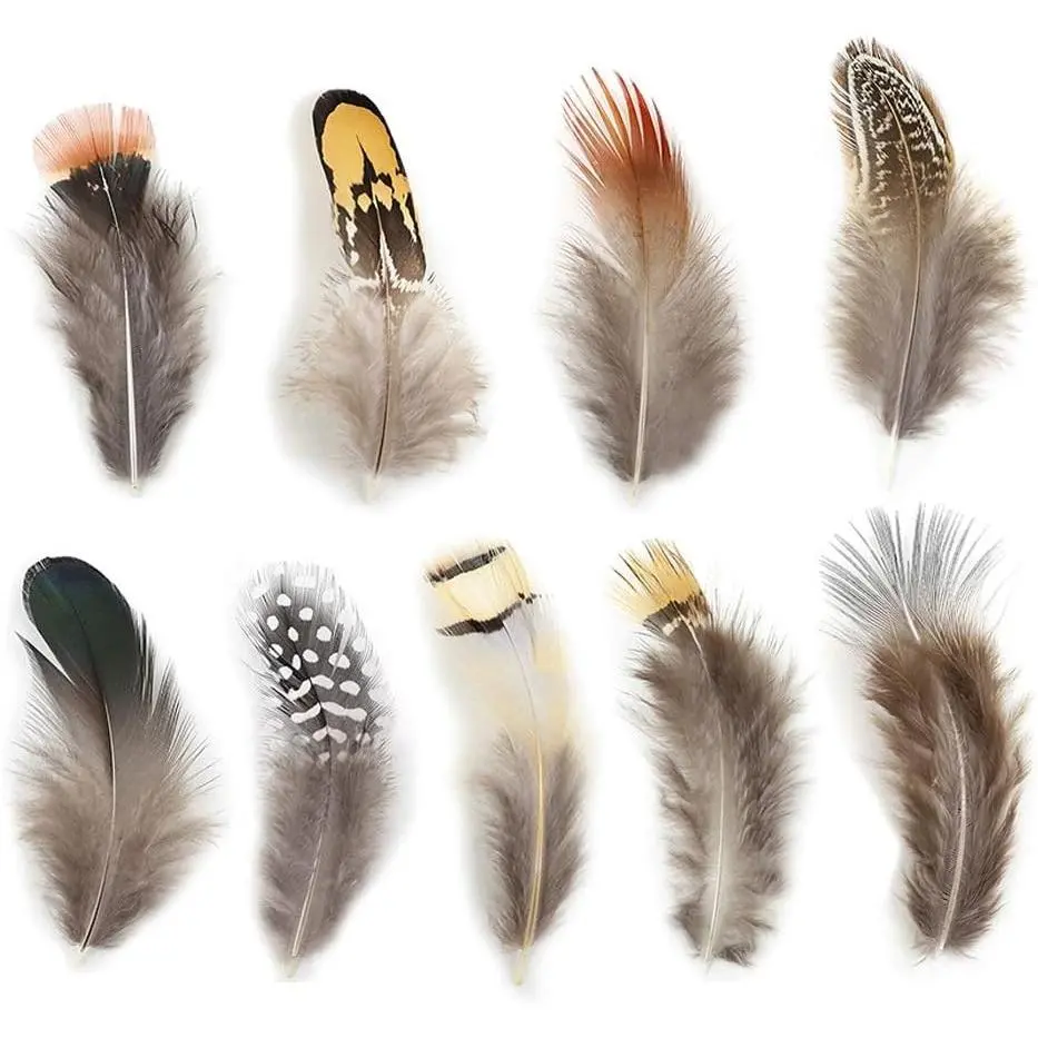 180pcs 9 Styles Assorted Natural Mixed Feathers for Jewelry Making and Dream Catcher DIY Crafts