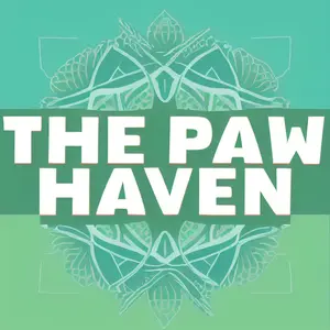 The Paw Haven