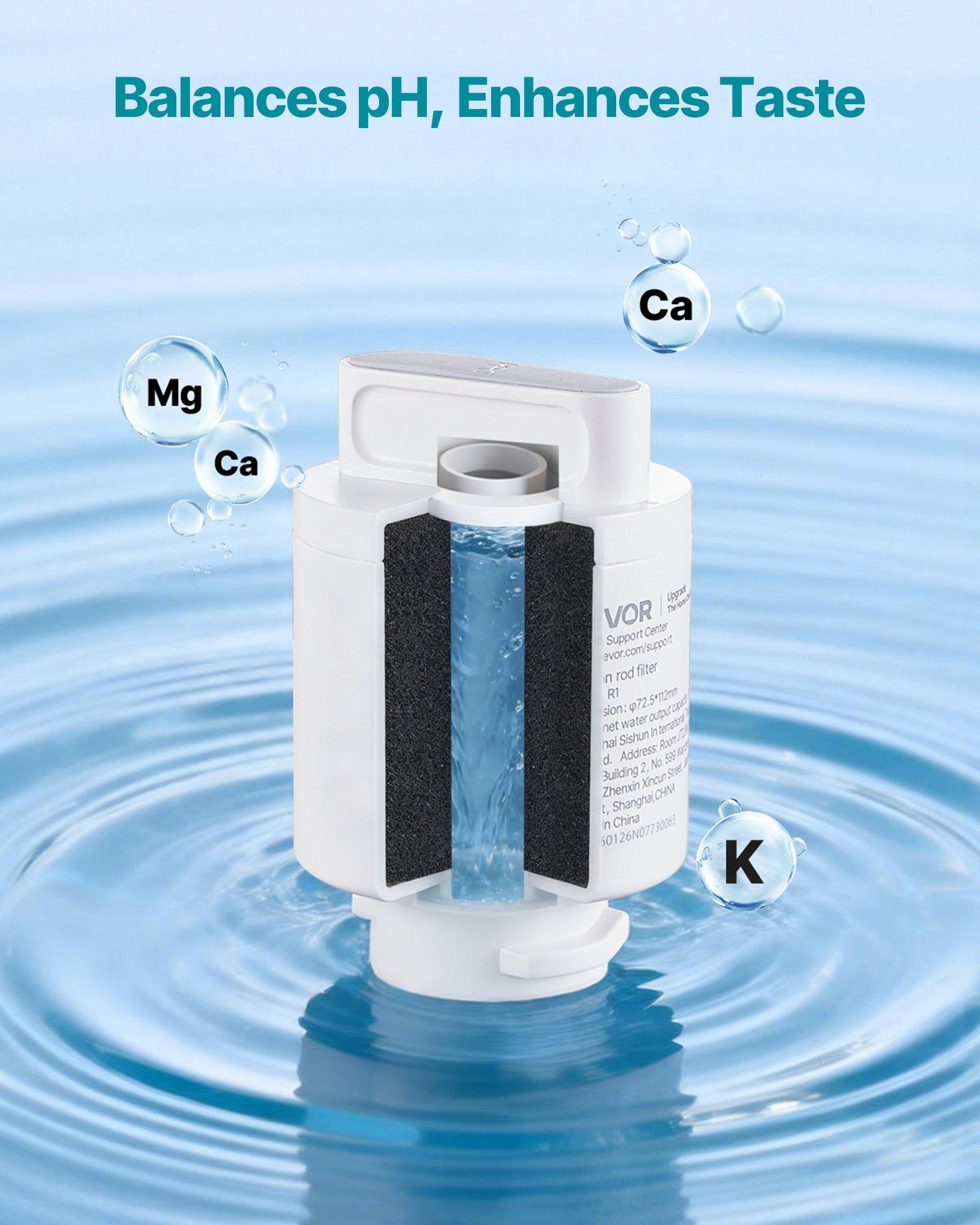 VEVOR Mineralization Filter Replacement – Remineralization Alkaline Water Filter for Reverse Osmosis System, Balances pH & Restores Minerals, Compatible with X811B Ice Maker Water Dispenser