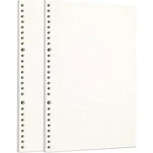 2 Pack B5 120 Sheets/240 Pages Dotted Loose Leaf Punched Paper Refills for 26 Hole Binder Personal Organizer Diary Notebook Refillable Planner