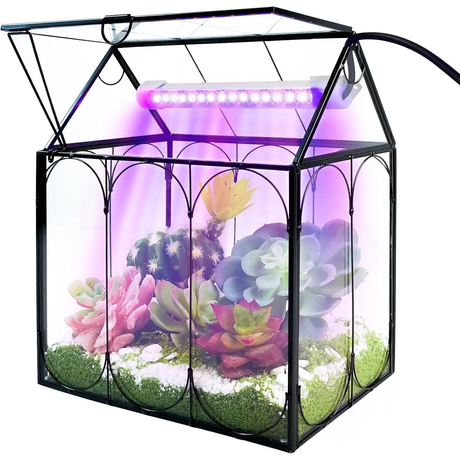 Plant Terrarium Kit with Grow Light, Small Glass Terrarium Jar with Absorbent Mat and Lid for Venus Fly Trap Succulent Live Air Plants Indoor Home Office Decor (Black, 7.1 x 4.8 x 8.8 inch)