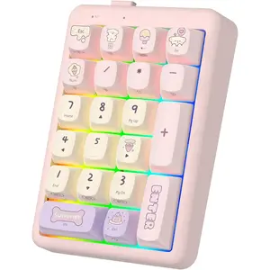 Numeric Keypad Numpad  Number Pad, S21 10 Key  Portable Mini Cute Financial Accounting Rechargeable Numeric Pad for Windows Laptop Desktop, PC, BT 5.0/2.4G